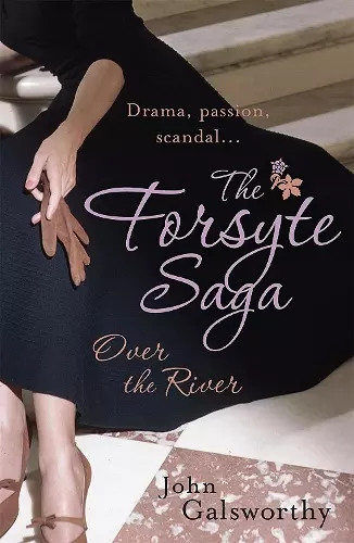 The Forsyte Saga 9: Over the River cover