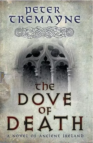The Dove of Death (Sister Fidelma Mysteries Book 20) cover