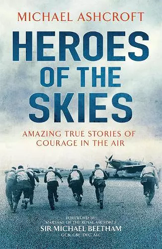 Heroes of the Skies cover