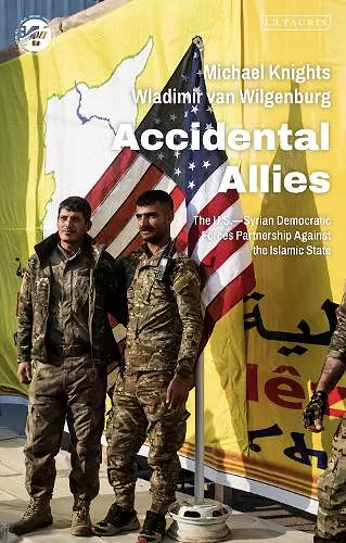 Accidental Allies cover