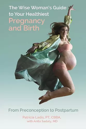 The Wise Woman's Guide to Your Healthiest Pregnancy and Birth cover
