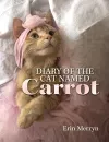 Diary of the Cat Named Carrot packaging