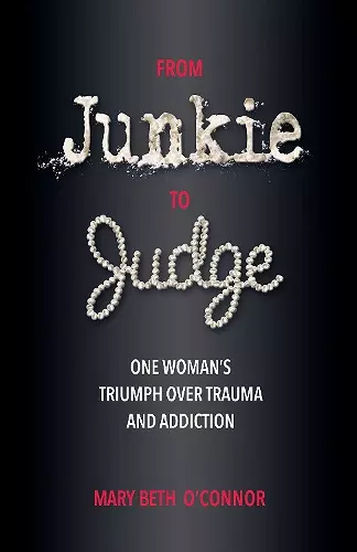 From Junkie to Judge cover
