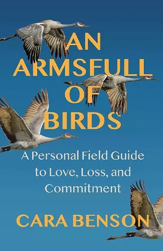 An Armsfull of Birds cover