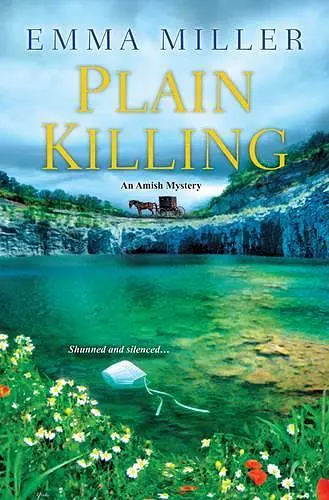 Plain Killing cover