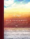 A Year in the Old Testament cover