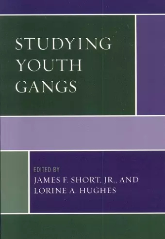 Studying Youth Gangs cover