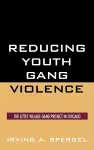 Reducing Youth Gang Violence cover