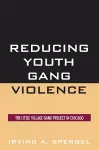 Reducing Youth Gang Violence cover