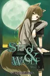 Spice and Wolf, Vol. 3 (light novel) cover