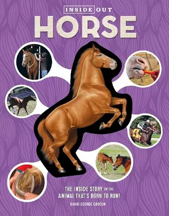 Inside Out Horse cover