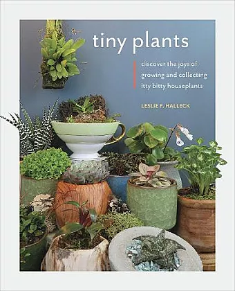 Tiny Plants cover