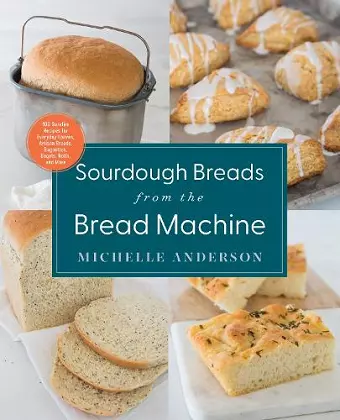 Sourdough Breads from the Bread Machine cover