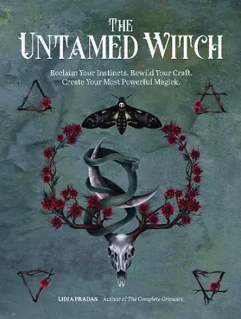 The Untamed Witch cover