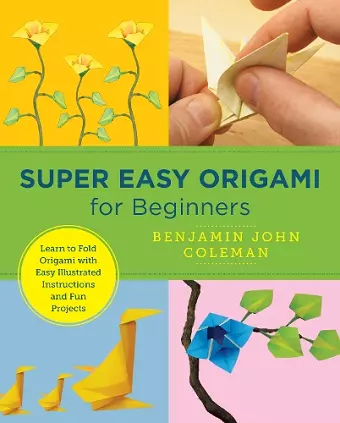 Super Easy Origami for Beginners cover