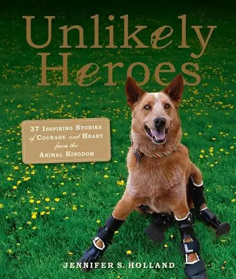 Unlikely Heroes cover
