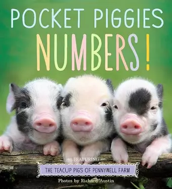 Pocket Piggies Numbers! cover