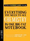 Everything You Need to Ace Chemistry in One Big Fat Notebook cover