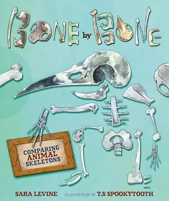 Bone by Bone cover