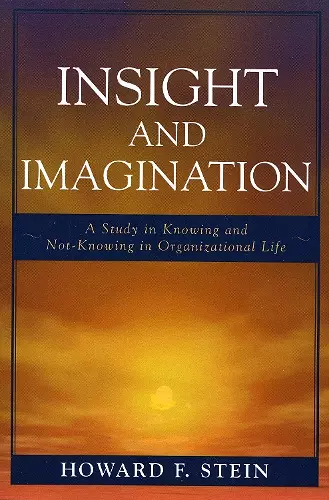 Insight and Imagination cover