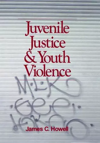 Juvenile Justice and Youth Violence cover