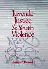 Juvenile Justice and Youth Violence cover