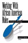 Working With African American Males cover