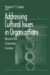 Addressing Cultural Issues in Organizations cover