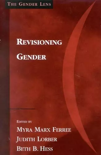 Revisioning Gender cover