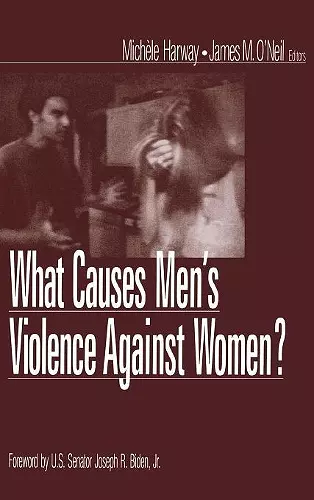 What Causes Men′s Violence Against Women? cover