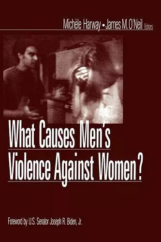 What Causes Men′s Violence Against Women? cover