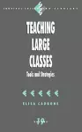 Teaching Large Classes cover