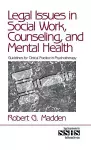 Legal Issues in Social Work, Counseling, and Mental Health cover