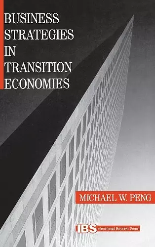 Business Strategies in Transition Economies cover