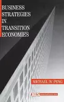 Business Strategies in Transition Economies cover