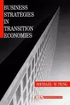 Business Strategies in Transition Economies cover