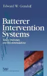 Batterer Intervention Systems cover