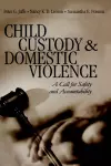 Child Custody and Domestic Violence cover