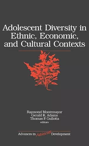 Adolescent Diversity in Ethnic, Economic, and Cultural Contexts cover