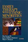 Family Therapy with Ethnic Minorities cover