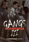 Gangs in America III cover