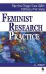 Feminist Research Practice cover