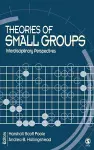 Theories of Small Groups cover