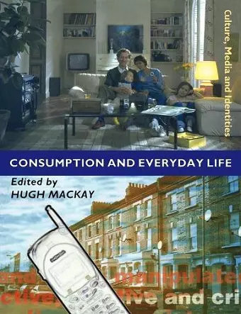 Consumption and Everyday Life cover