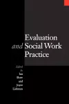 Evaluation and Social Work Practice cover