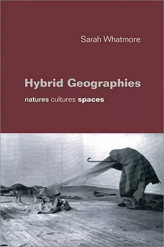 Hybrid Geographies cover