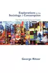 Explorations in the Sociology of Consumption cover