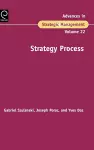 Strategy Process cover