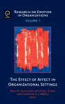 The Effect of Affect in Organizational Settings cover