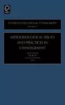 Methodological Issues and Practices in Ethnography cover